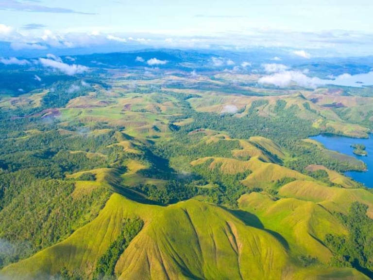 Das Klima in Guinea / Klimatabelle Guinea